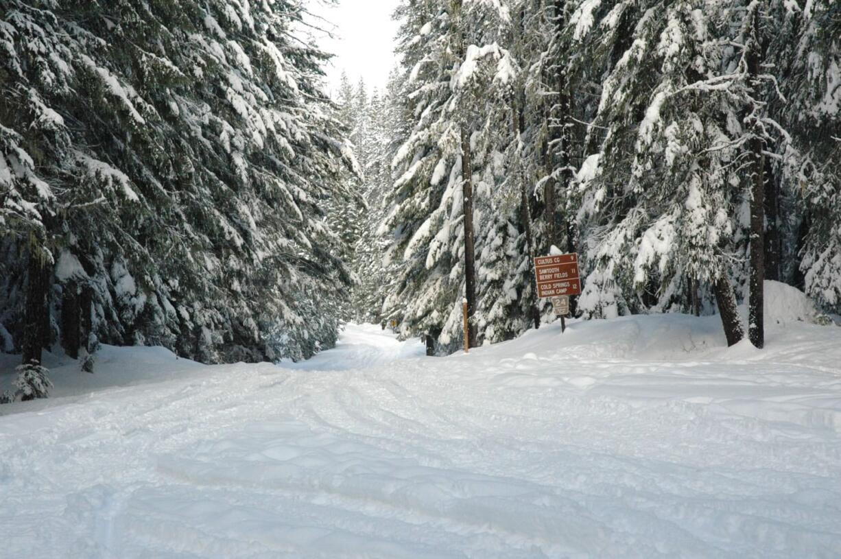 There were about 2 feet of snow at the junction of Gifford Pinchot National Forest roads Nos. 60 at 24 near Peterson Prairie when this photo was taken 10 days ago. Snow depths are almost double this amount now.