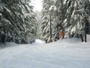 There were about 2 feet of snow at the junction of Gifford Pinchot National Forest roads Nos. 60 at 24 near Peterson Prairie when this photo was taken 10 days ago. Snow depths are almost double this amount now.