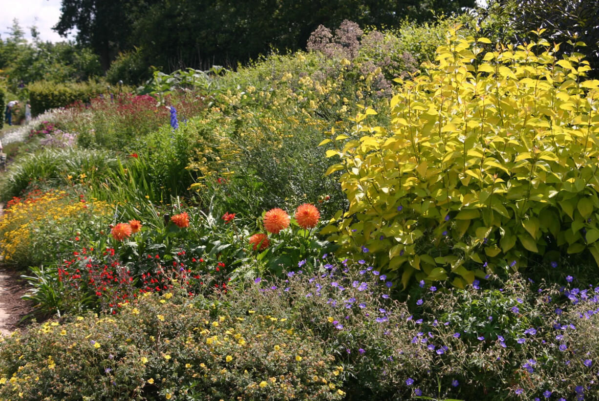 If you have an established plant-filled border, scatter a complete granular fertilizer over the root zones.