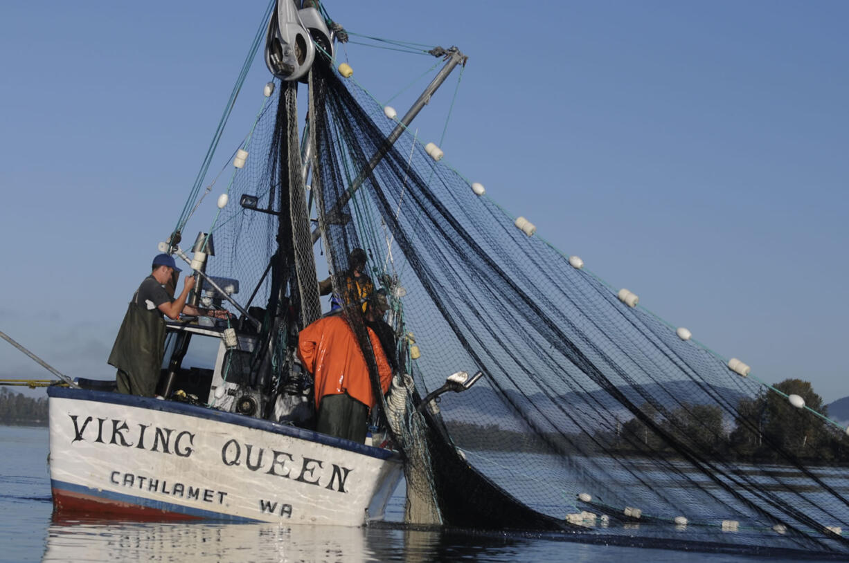 Purse seines, being tested here near Cathlamet, are expected to become the main method of commercial salmon fishing in the main stem of the lower Columbia River.