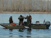 There were slightly more than 151,000 angling trips for spring chinook in the lower Columbia River in 2015.