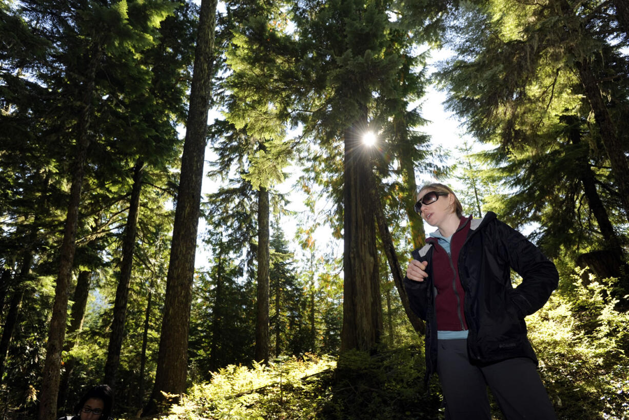 Jessica Walz, conservation director with the Gifford Pinchot Task Force, speaks to a group of reporters as she stands on one of a network of roads to exploratory drilling sites in the area where the Ascot Mining Company wants to do more exploratory drilling above the Green River and on the border of the Mt. St Helens National Volcanic Monument near Randle on Oct.