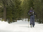 More snow is expected this weekend on the Big Tree loop out of Pineside Sno-Park in the Mount Adams Ranger District.