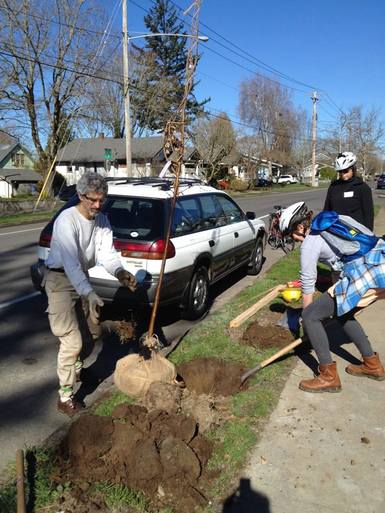 Neighbors in the Hough Neighborhood planted saplings in February as part of an annual tree planting organized by the Friends of Trees Organization.