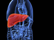 The liver is an organ about the size of a football that sits just under the rib cage on the right side of the abdomen.