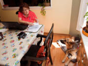 Service dog Essie watches Ella Straka, who has multiple sclerosis, as Straka pays bills in her Naperville, Ill., home. &quot;She&#039;s never off-duty,&quot; Straka says. (James C.