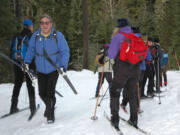 Coming and going: The Big Tree ski loop in the Mount Adams Ranger District can be completed easily in three hours.