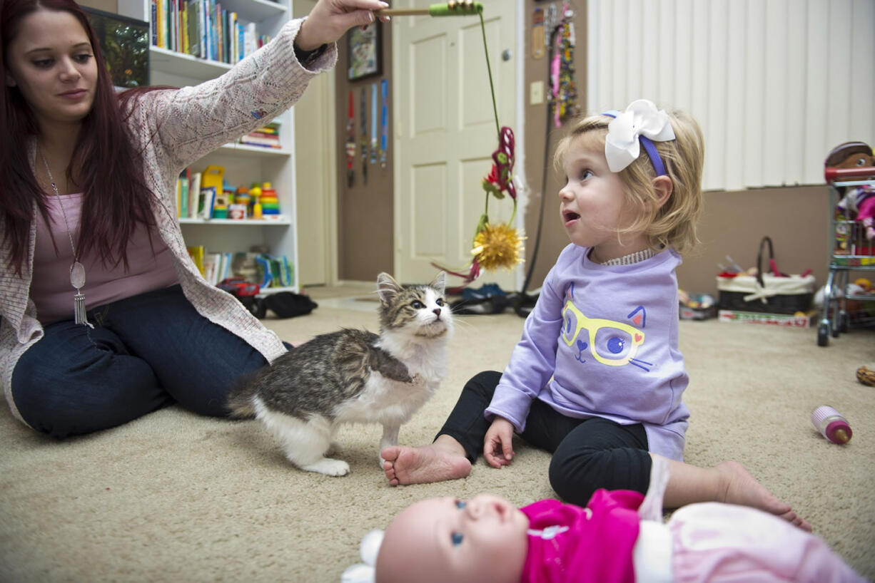 Simone Tipton, left, dangles a cat toy as she and daughter Scarlette, 2, play with their new kitten, Doc. Tipton and husband Matt searched for six months to find an amputee cat for their daughter, who had an arm amputated during a battle with cancer.