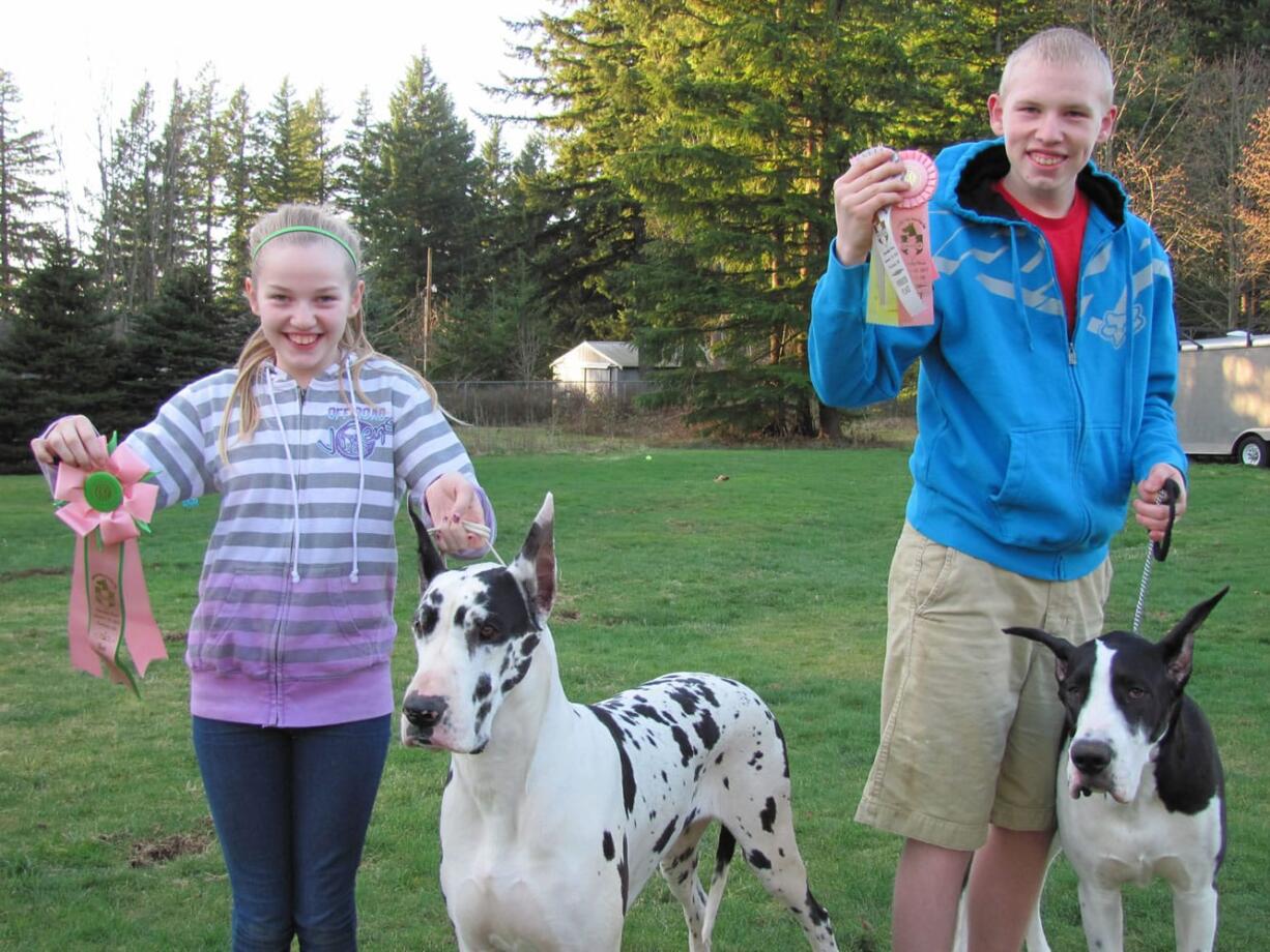 Corie and Cody Hebert show off the ribbons that they and their Great Danes, Matisse and Butler, won at the Rose City Classic dog show last month.