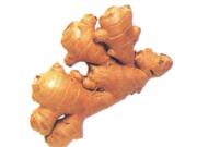 Ginger can be kept in the refrigerator for two to three weeks wrapped in a paper towel and placed in a plastic bag.