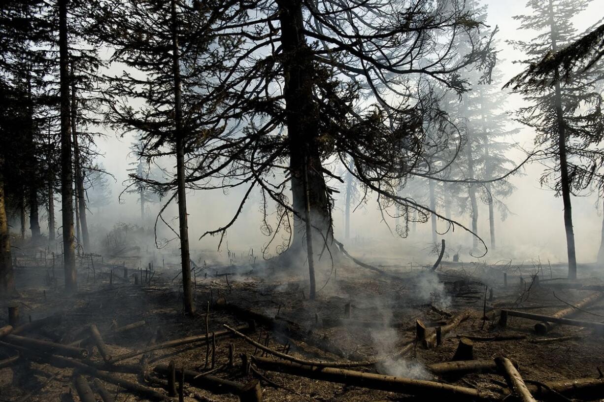 The U.S. Forest Service helped coordinate this controlled burn of huckleberry fields last year in the Gifford Pinchot National Forest.