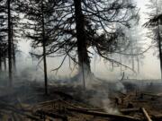 The U.S. Forest Service helped coordinate this controlled burn of huckleberry fields last year in the Gifford Pinchot National Forest.