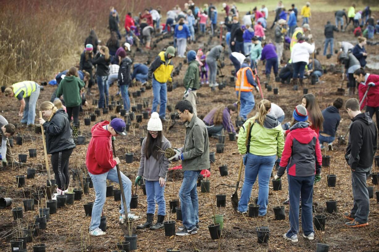 Hundreds of volunteers made their way to the Burnt Bridge Creek Greenway Trail to plant trees as part of the annual MLK Day of Service in 2015.