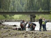 Students from all over Clark County spent Thursday working with representatives from the USFS, Mount St. Helens Institute, and Smith Root on hands on projects related to the fish and streams on Mount St.