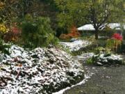 At 1,250 feet of elevation, my garden is one of the first to feel the sting of early winter weather.