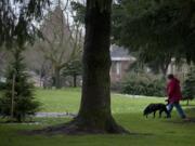 Zachary Kaufman/The Columbian
Ann Bryan walks her friend's dog, Quincy, at John Ball Park on Thursday. Bryan, who lives across the street from the park, says that she enjoys the green space, but doggie clean up bag dispensers &quot;would be nice.&quot;