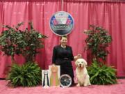 Raina Moss and her dog Dirk, a clumber spaniel, won the 2015 Eukanuba National Junior Showmanship Championship in Orlando, Fla., and will travel to England to represent the United States in international competition.