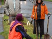 West Vancouver: Local volunteers and tree experts discuss the finer points of planting trees.