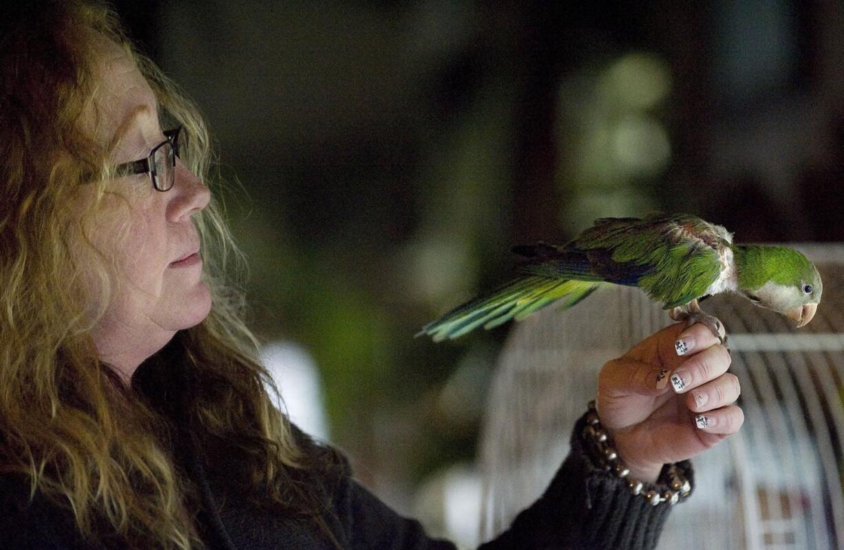 Brenda Wilson inspects her parrot, Doc, inside her Battle Ground home.