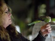 Brenda Wilson inspects her parrot, Doc, inside her Battle Ground home.