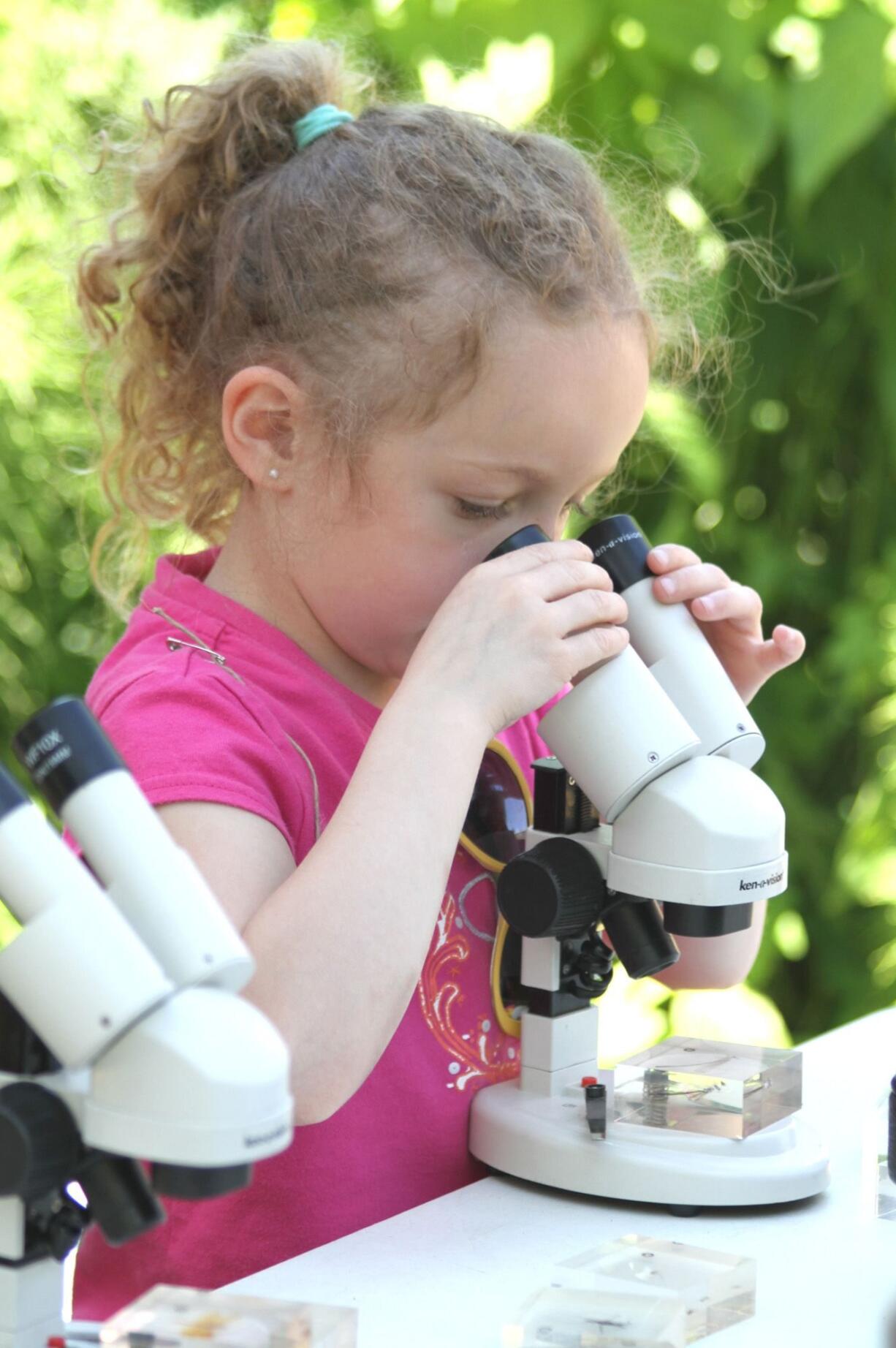 Old Evergreen Highway: Mersedes Mendez checks out some microscopic critters during Columbia Springs' Family Field Trip Day.