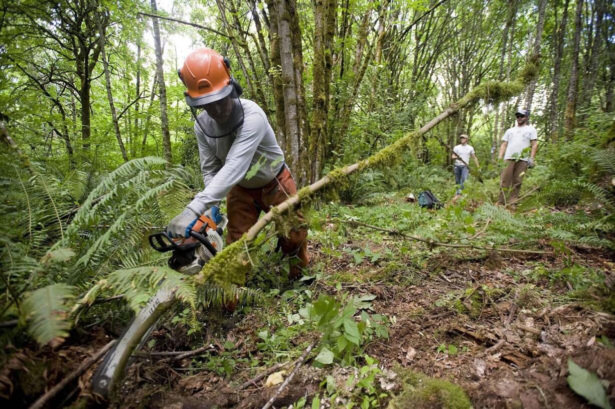 Roger Anderson of Clark County Public Works clears trees from a new shared equestrian-pedestrian trail in Fairgrounds Community Park, with help from AmeriCorps members Colin Cushman, background left, and Tim Griffith, right.