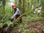 Roger Anderson of Clark County Public Works clears trees from a new shared equestrian-pedestrian trail in Fairgrounds Community Park, with help from AmeriCorps members Colin Cushman, background left, and Tim Griffith, right.