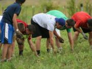 High school football players, cheerleaders, coaches and parents tackle weeds at the 78th Street Heritage Farm in Hazel Dell.