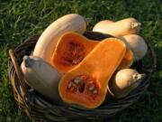 The natural sweetness of butternut squash makes it a wonderfully versatile ingredient.