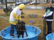 Brody Buffum, 11, left, and Vika Crossland, 10, wash a dog during the Rocksolid Community Teen Center Pet Fest.