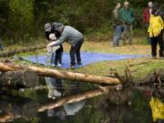 Clark County Commissioner Marc Boldt, right, helps August DeGagne, 5, and his grandfather, Mark Brislawn, release wild coho salmon into a small pond that feeds into Salmon Creek on Monday.