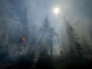 Smoke permeates a mixed-conifer forest at the Sawtooth Huckleberry Fields as fire from a controlled burn spreads to a tree.