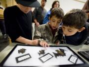 The Rogers brothers, from left, Michael, 10, Joseph, 6, and Charles, 8, from Cub Scout Pack 422, look at bat specimens at a bat and owl workshop for kids and parents Wednesday.