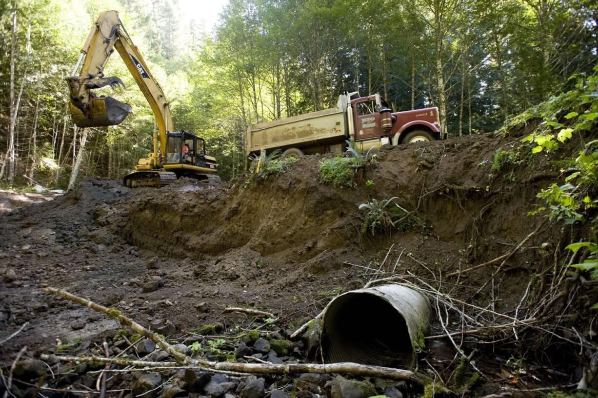 An excavator digs into an old Forest Service road bed at a crossing over Youngman Creek, a tributary of the Wind River, where a culvert blocks passage of threatened steelhead and native cutthroat trout. The Gifford Pinchot National Forest won a three-year, $900,000 federal grant to improve fish passage at sites like this across the forest.