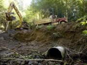 An excavator digs into an old Forest Service road bed at a crossing over Youngman Creek, a tributary of the Wind River, where a culvert blocks passage of threatened steelhead and native cutthroat trout. The Gifford Pinchot National Forest won a three-year, $900,000 federal grant to improve fish passage at sites like this across the forest.