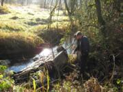 A woman was able to free herself from this car when it went into Woodin Creek this morning, fire officials said.