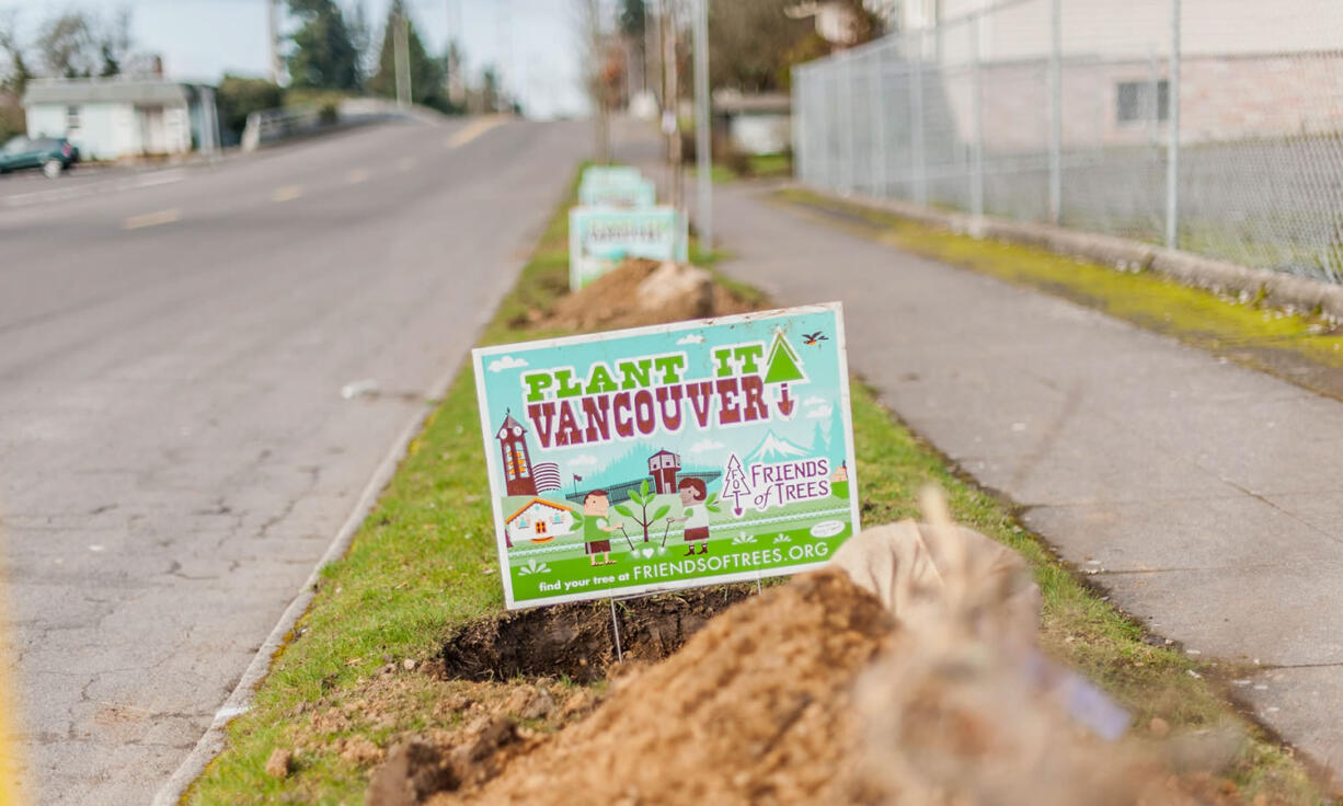 Friends of Trees signs accompany newly planted saplings from last season in the Rose Village neighborhood.