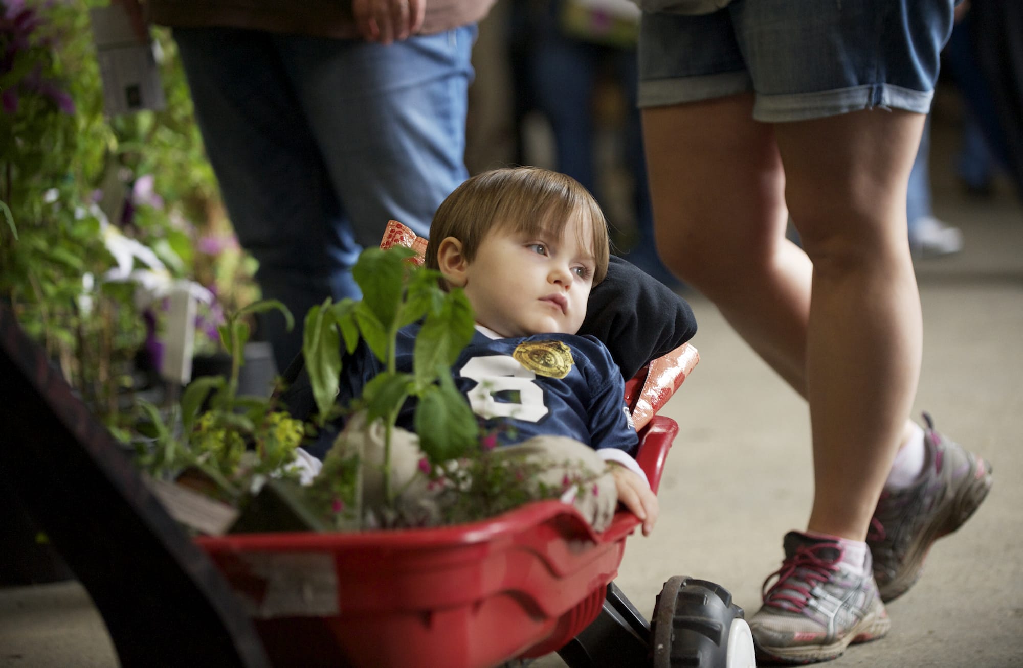 Chance Martin, 3, of Ridgefield, takes in the sights of the fair from his red wagon.