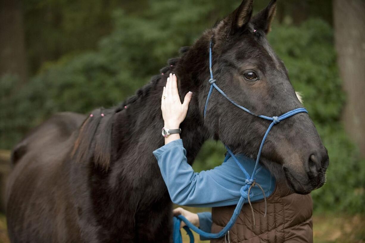 Star has made significant progress since she was rescued Dec. 26.