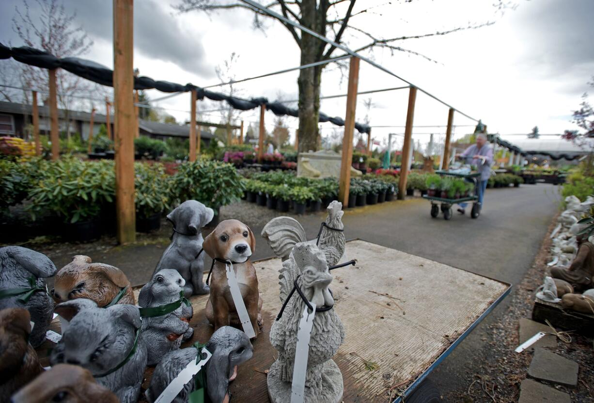 Sandy Kalsch, 67,  Washougal, shops for plants for her yard.