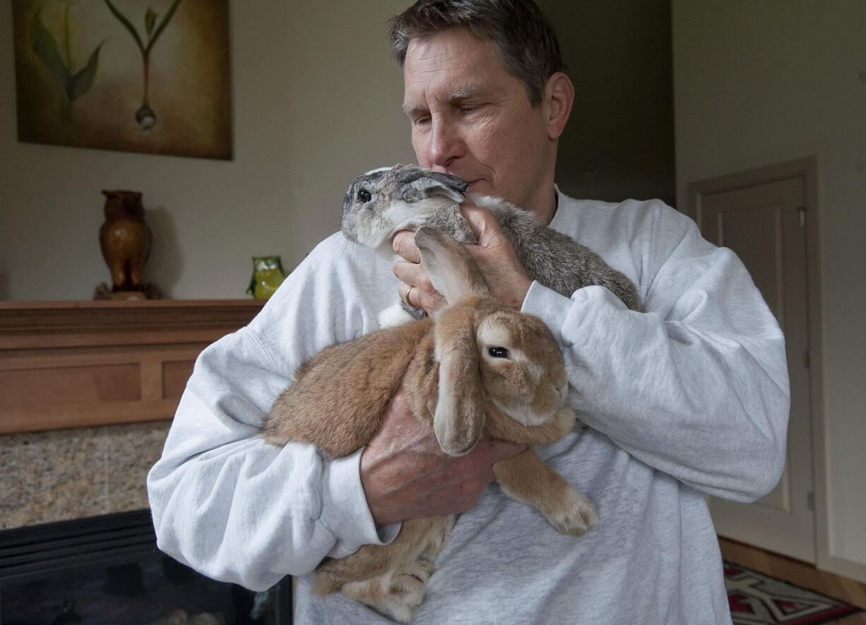 Frank Hoetker holds rescued bunnies Pumpkin and Cricket inside his Woodland home Wednesday.