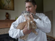 Frank Hoetker holds rescued bunnies Pumpkin and Cricket inside his Woodland home Wednesday.