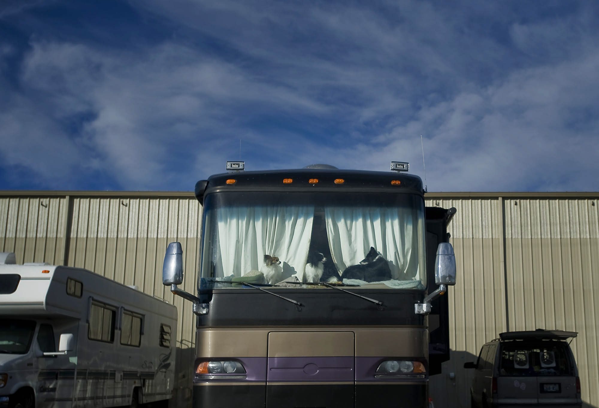 Dogs soak up the sun and view from the dash of a motor home outside the 8th annual American Kennel Club sanctioned all-breed agility trial at the Clark County Event Center on Saturday February 4, 2012. The three day event has 277 dogs competing that are mostly from Washington and Oregon.