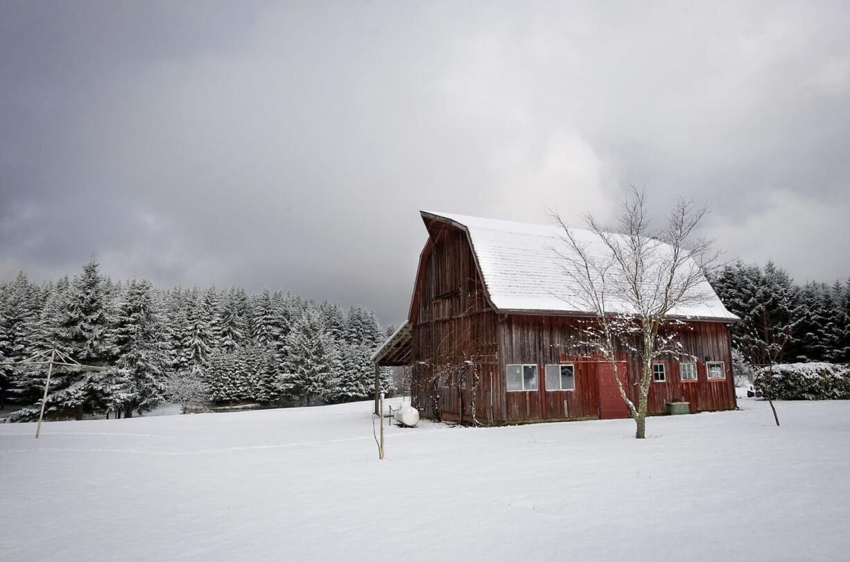 A 1940s-era barn at the Kaye Ney residence completes a snowy winter scene on Sunday in the Highland neighborhood above La Center.