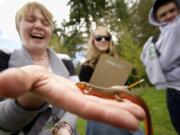 Moriah Howard, 14, holds a rough-skinned newt during an amphibian count at a pond in Brush Prairie.