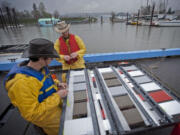 Steve Wells, right, a Portland State University research assistant, and PSU student Leonard Caldwell attach treated tiles to a metal frame that will be submerged and fastened to a dock at the Port of Camas-Washougal.