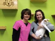 Fircrest: Cats Meow Luxury Boarding co-owners Jo Schmidt, left, and Amber Groff with Ollie at their cat sitting facility, which recently teamed up with Furry Friends to open an adoption room.