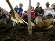 Marisa Dahlberg, 9, left in blue, of Hough Elementary School helps plant a deciduous green vase Zelkova, this year's official Arbor Day tree.