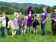 La Center: Both the students and their llamas from the Llama 101 4-H Club wore purple on &quot;Purple Up Day&quot; on April 13 to show their support for Operation Military Kids. Llama names in parentheses.