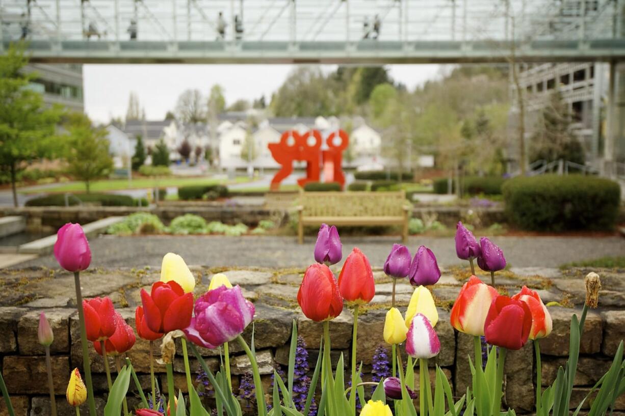 Colorful tulips and leafy green trees offer a relaxing experience for visitors at Legacy Salmon Creek Medical Center in Vancouver.